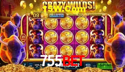Promoção Relâmpago 755Bet
